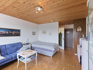 1-Zimmer-Appartement