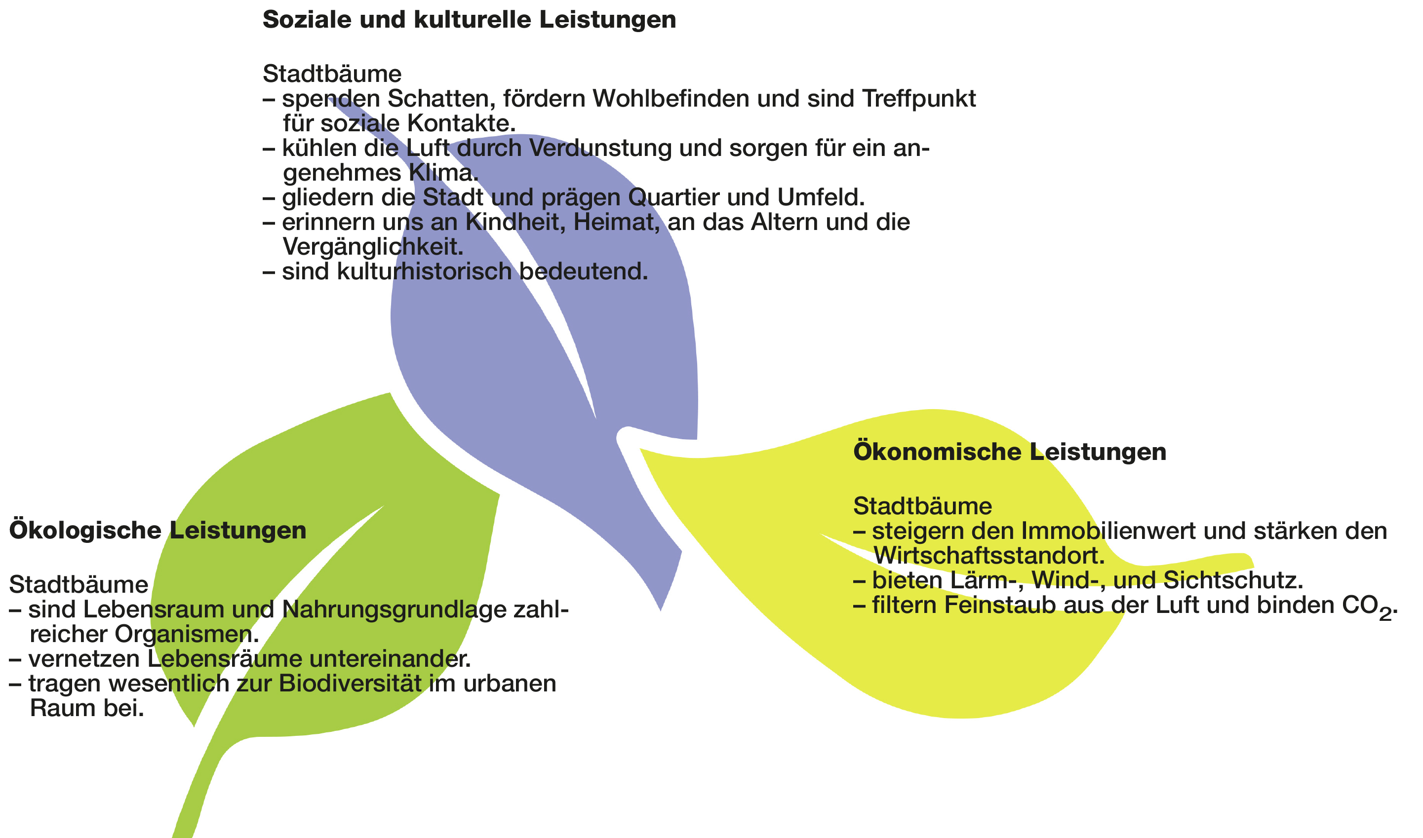 Baumwissen Stadt Zurich