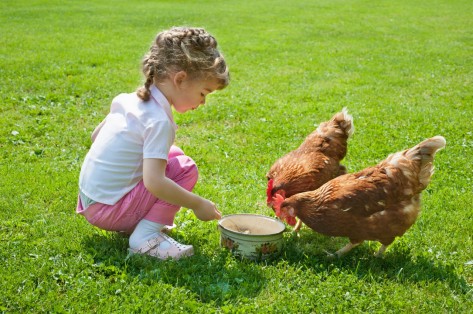 Kind mit Huhn