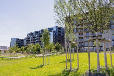 Das Bild zeigt den neuen Quartierpark mit Wohngebäuden im Hintergrund. 