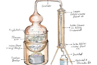 Das Bild zeigt die Illustration eines Destillationsgerätes. 